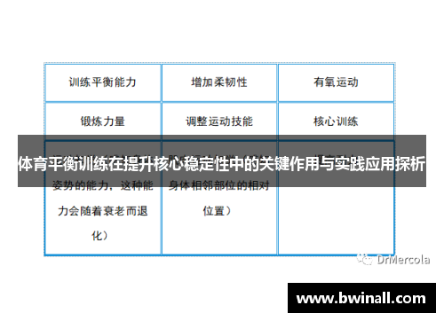 体育平衡训练在提升核心稳定性中的关键作用与实践应用探析