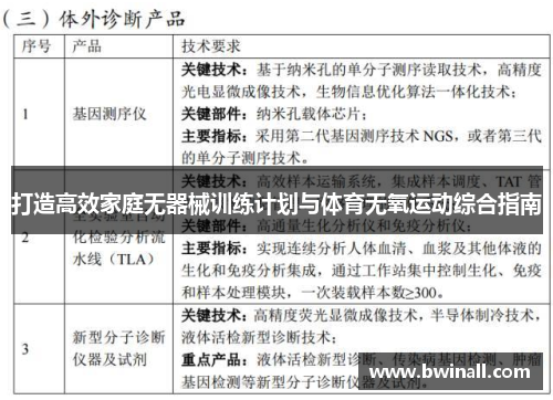 打造高效家庭无器械训练计划与体育无氧运动综合指南