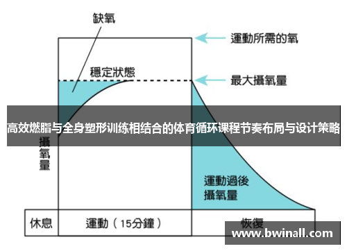 高效燃脂与全身塑形训练相结合的体育循环课程节奏布局与设计策略
